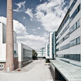 Neue Rauchzeichen des Erfolgs: Die Revitalisierung der Tabakfabrik Linz